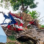 Painted Puerto Rico state flag on roots of uprooted tree from Hurricane Maria